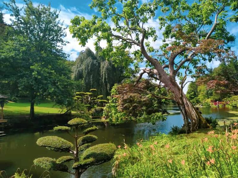 Découvrez le plus grand jardin japonais d’Europe, situé en France : le Parc Oriental de Maulévrier, labellisé « Jardin remarquable »