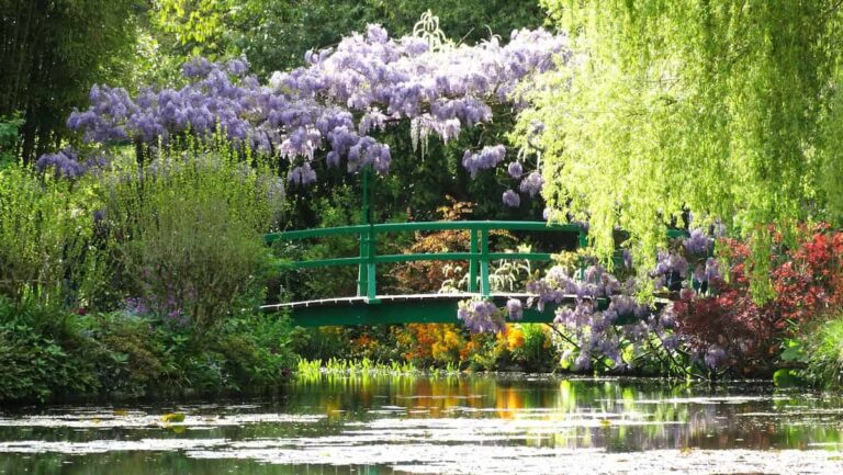 Quand Monet peignait, il capturait l’essence même de la nature : voici comment !
